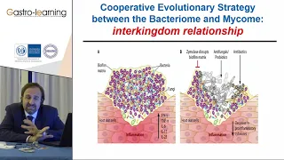 "Come la rivoluzione del Microbiota sta cambiando la medicina"