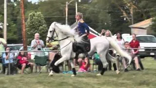 Lippizaner Stallions Airs Above The Ground