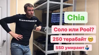 Chia майнинг. Соло или Pool? 250Tb( терабайт) плотов, SSD живые???Итоги за 3 месяца.