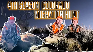 Colorado Migration Hunt - Late Season Elk and Deer