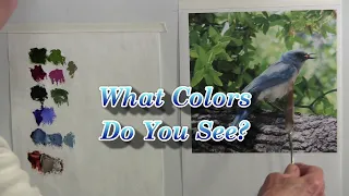 Quick Tip 253 - What Colors Do You See