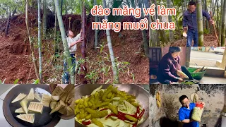 [529]Qua Nhà Cô Chồng Đào Được 1 Bao Măng_Về Làm Măng Muối Chua.