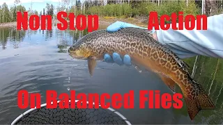 Fast action fly fishing with balanced flies under an indicator.