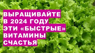 Вирощуйте в 2024 ці "швидкі" вітаміни Щастя Grow these “quick”