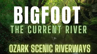 BIGFOOT ON "THE CURRENT RIVER" | (THEY WERE HUNTING) OZARK SCENIC RIVERWAYS [CAVE SPRING, MO]