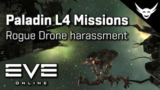 EVE Online - Paladin exterminating Rogue drones
