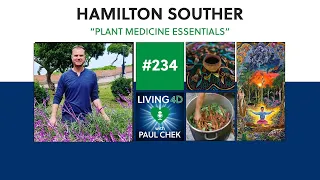 Episode 234 — Hamilton Souther: Plant Medicine Essentials