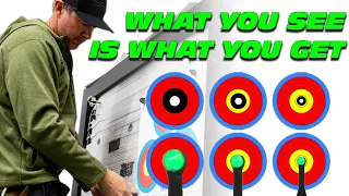 My aiming dot looks like this on targets and how I choose what size dot