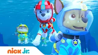 PAW Patrol | ‘Sea Patrol: The Next Wave’ Official Trailer | Full Episode Sept. 8 on Nickelodeon