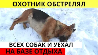 Охотник устроил стрельбу по собакам. Новости ЧП. Архангельск