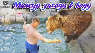 Заманил в бассейн искупаться🐻🏊‍♂️