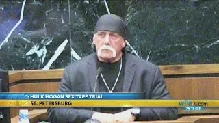 Hulk Hogan testifies in Gawker civil trial