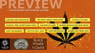 BRANT BJORK and the Low Desert Punk Band - Black Power Flower (Preview) | Napalm Records