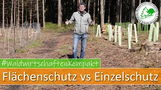 Flächenschutz vs Einzelschutz - Wann bauen wir was?