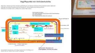 Pharma Tutorium Tag 3