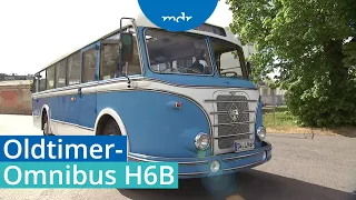 Besonderes Vergnügen: Ausfahrten im Oldtimer-Omnibus H6B | MDR um 4 | MDR