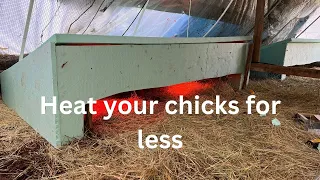 How I keep my chicks warm with 76% less heat