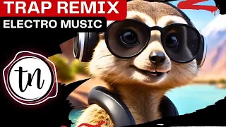 PARTY REMIX 2024 🔥 Mashups & Remixes Of Popular Songs 🔥 DJ Remix Club Music Dance Mix 2024