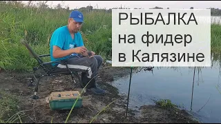 🦈Рыбалка РАННИМ УТРОМ в Калязине