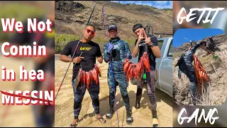 3Prong vs Pachi Pulverizer (Mini Speargun) CHALLENGE!  / Hawaii Spearfishing Vlog