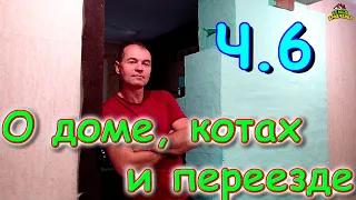 Переезд в Новосибирск ч.6. Что с с кошками. Дом. Причины переезда. И др. (06.22г.) Семья Бровченко.