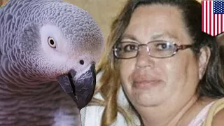 Parrot witnesses shooting: Woman found guilty of murder in 'parrot witness' homicide - TomoNews