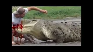 Shocking crocodile attacks caught on film 2020