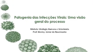 Virologia- Patogenia de Infecções Virais