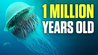 10 Oldest Living Creatures On Earth