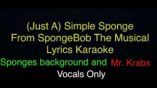 (Just A) Simple Sponge from SpongeBob The Musical Karaoke with Lyrics (Sponges & Mr. Krabs vocals)