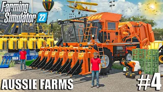 BIG $700.000 COTTON HARVEST with COLOSSUS 5000 | AUSSIE FARMS | Farming Simulator 22 - Episode 4