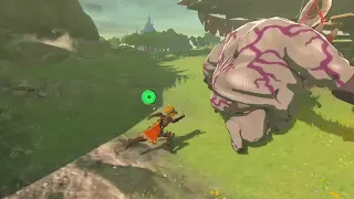 Una dura batalla en un fuerte bokoblin - Zelda Tears Of The Kingdom