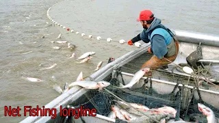 Awesome Longline Net Catching Salmon on The River - Fastest Net Fishing Catch Hundreds Tons Fish #02