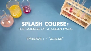 The Science of a Clean Pool: Episode 1 - Algae