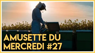 🐝Amusette du mercredi #27 ! Je réponds à vos questions en apiculture.