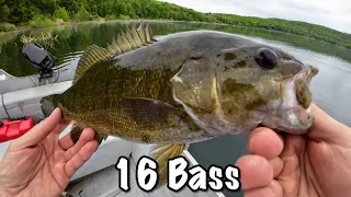 I Caught 16 Bass In One Day (Wacky Rig)