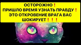 Пришло время узнать правду! Это откровение врага