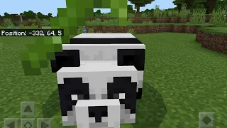 Pandas Eat Bamboo And Cake [ Minecraft ]