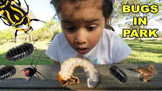 VACUUM BUG HUNT In The Park With Zoe Daddy and Mummy Spiders, Roly Polys, Worms, Snails