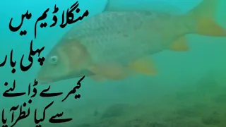 Mangla Dam inside View With Underwater Camera | Fishing Mangla Dam