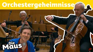 Welche Geheimnisse hat ein Orchester? | DieMaus | WDR