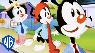 Animaniacs | How to Buy a Garage | Classic Cartoon | WB Kids