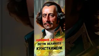 Любимое детище Петра Великого - Кунсткамера #история #историяроссии #history