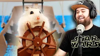 MR HAMSTER se ESCAPA DE UN BARCO 🐹