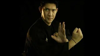 Iko Uwais Demonstrasi Pencak Silat