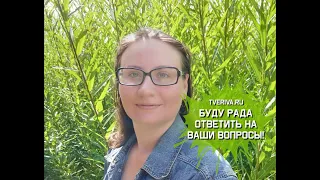 Питомник ТВЕРСКАЯ ИВА 🌿 я буду рада ответить на все Ваши вопросы tveriva.ru 🌿