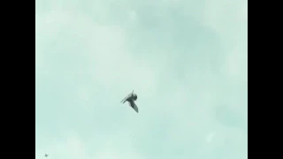 Охота на утки в казахстане