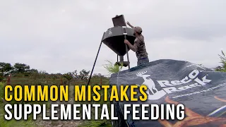 Deer Supplemental Feeding Mistakes