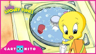 Baby Looney Tunes | Guilty | Cartoonito UK