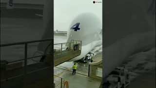 Unloading from Beluga XL | Airbus A300-600ST | World's Largest Cargo Plane | Bell'z தமிழ் #shorts